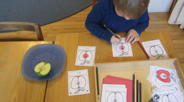 Culture and Geography