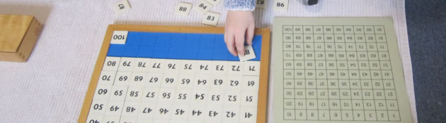 Five areas of Montessoir - Mathematics