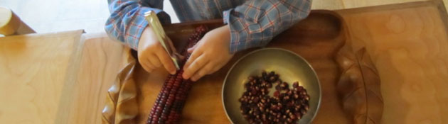 Five areas of Montessori - Practical Life